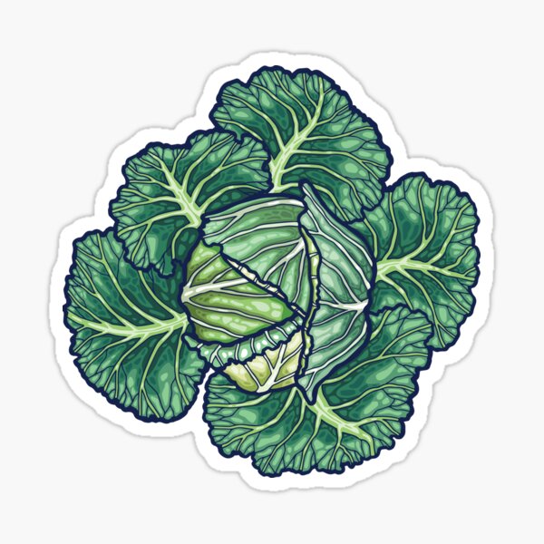 dreaming cabbages Sticker