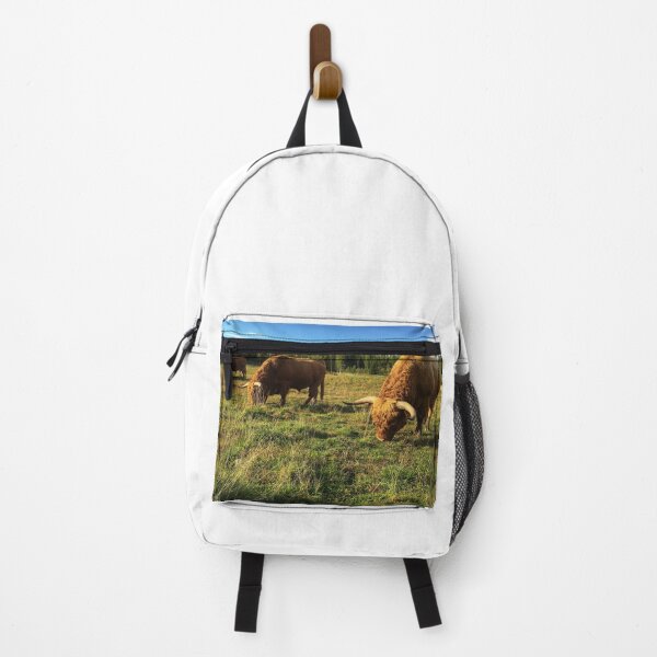 Item preview, Scottish Highland Cattle Bulls 2529 designed and sold by SaarelaHighland.