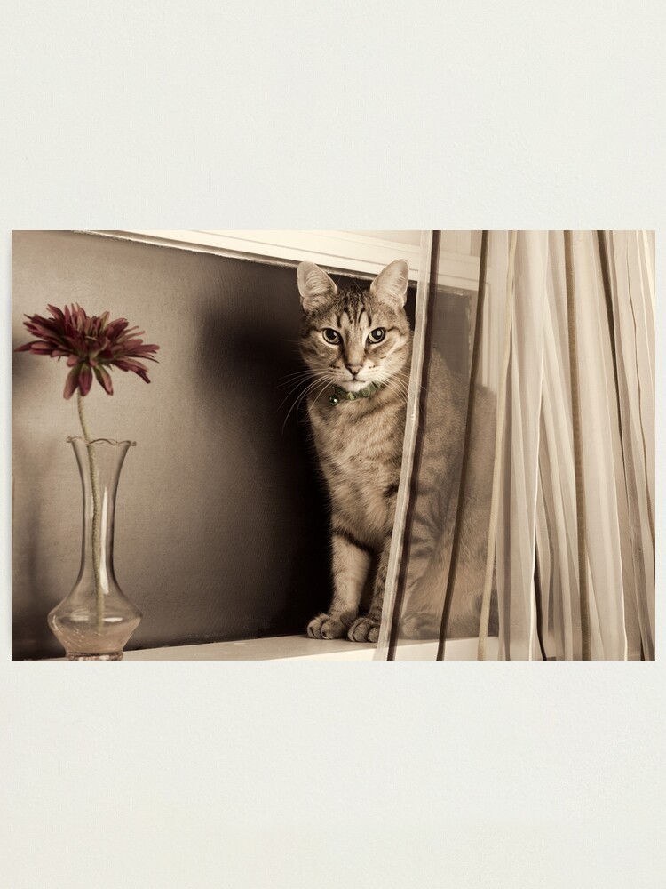 Alternate view of Curtain Call Photographic Print