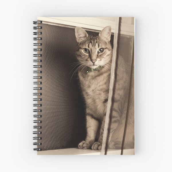 Item preview, Curtain Call designed and sold by Tracy Riddell.