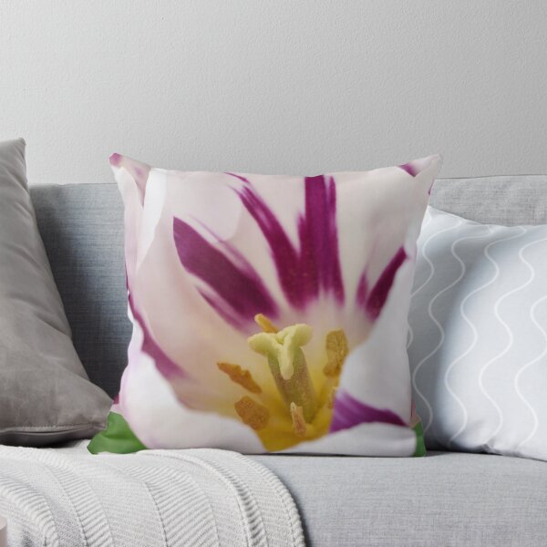 Item preview, Tulipa  'Flaming Flag'  Tulip  Triumph Group  designed and sold by Chris Burrows.