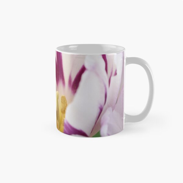 Item preview, Tulipa  'Flaming Flag'  Tulip  Triumph Group  designed and sold by Chris Burrows.
