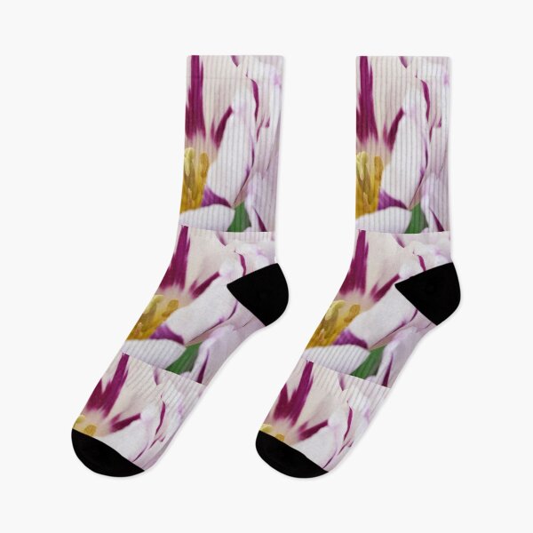 Item preview, Tulipa 'Bandera llameante' Grupo Tulip Triumph designed and sold by Chris Burrows.