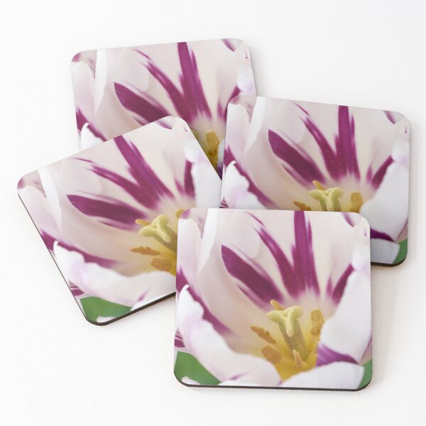 Item preview, Tulipa  'Flaming Flag'  Tulip  Triumph Group  designed and sold by Chris Burrows.
