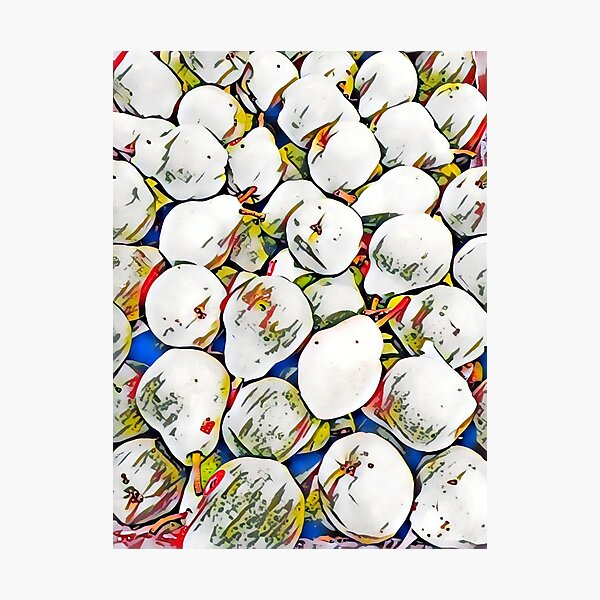 Photographic Print