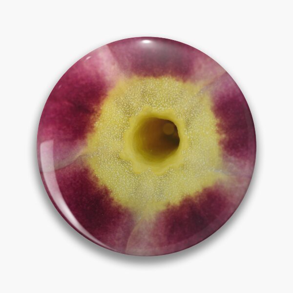 Item preview, Primula auricula  designed and sold by Chris Burrows.