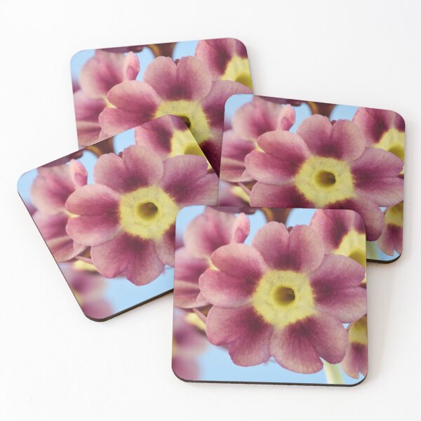 Item preview, Primula auricula  designed and sold by Chris Burrows.
