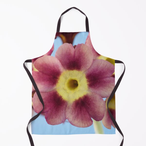 Item preview, Primula auricula  designed and sold by Chris Burrows.