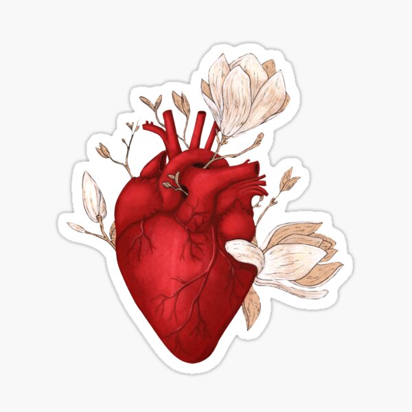 Sticker Echtes Herz Redbubble