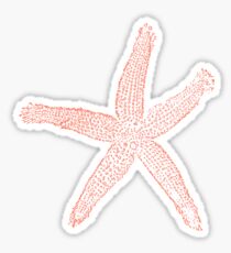 starfish Sticker