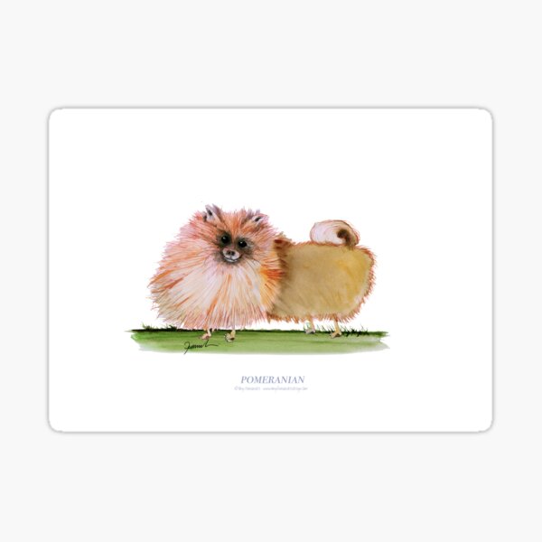 Pomeranian - tony fernandes Sticker
