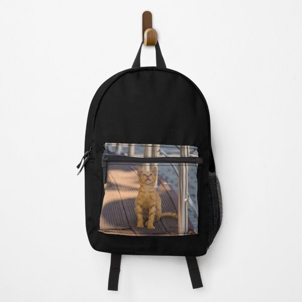Item preview, Street Cat in Sultanahmet, Istanbul designed and sold by jojobob.