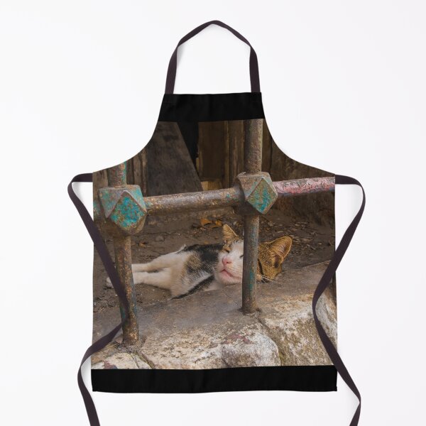 Item preview, Street Cat in Sultanahmet, Istanbul designed and sold by jojobob.