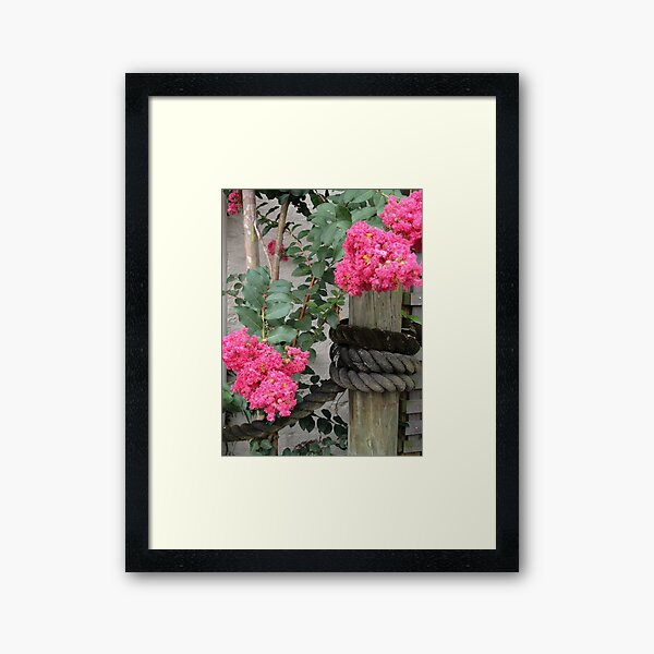 Item preview, Crepe Myrtle designed and sold by dtheiris.