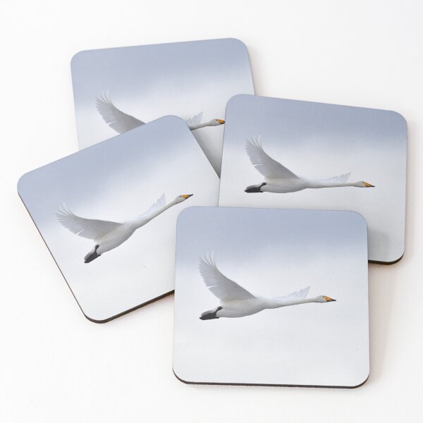 Item preview, Flyby 1 Whooper Swan designed and sold by Jouko Lehto Photography.