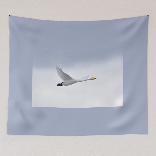 Item preview, Flyby 1 Whooper Swan designed and sold by Jouko Lehto Photography.