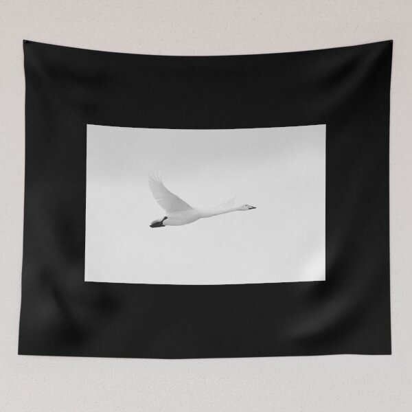 Item preview, Flyby 2 Whooper Swan bw designed and sold by Jouko Lehto Photography.