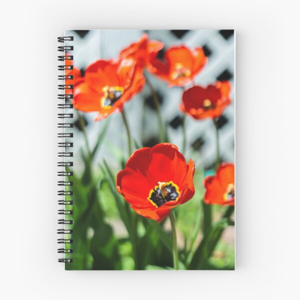 Item preview, Poppy Summer designed and sold by lafernastudios.