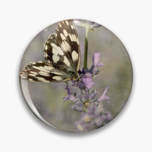 Item preview, Wonderful specimen of the Galatea butterfly with delicate colors  designed and sold by ritadilalla.