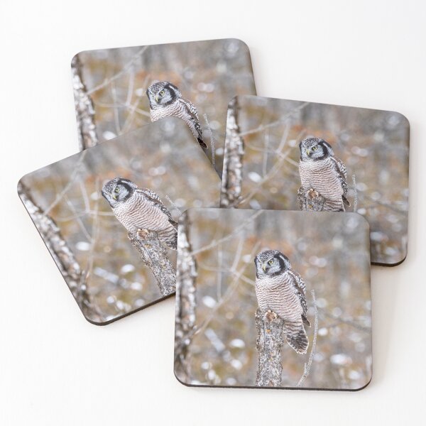 Item preview, Northern Hawk Owl (Surnia ulula) designed and sold by Karen Hogan.