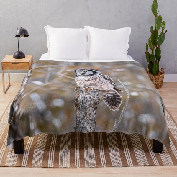 Item preview, Northern Hawk Owl (Surnia ulula) designed and sold by Karen Hogan.