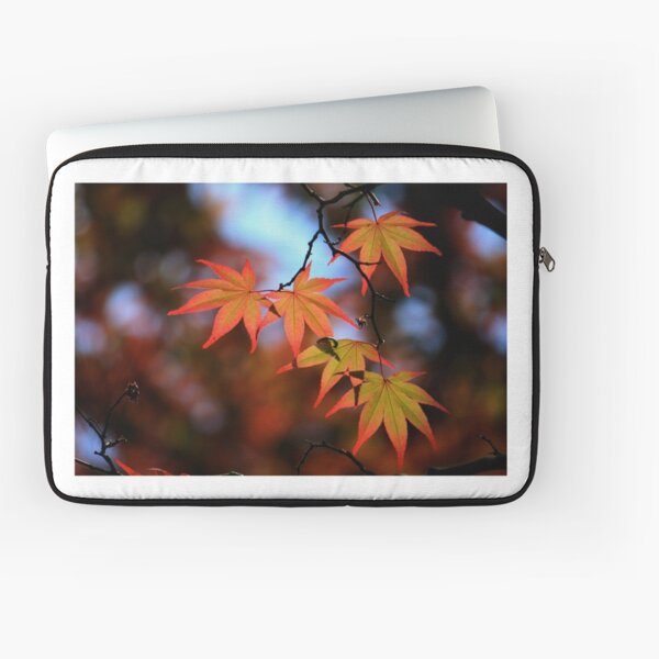 Leaf dance Laptop Sleeve