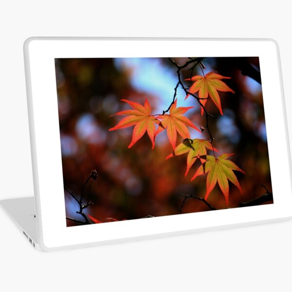 Leaf dance Laptop Skin