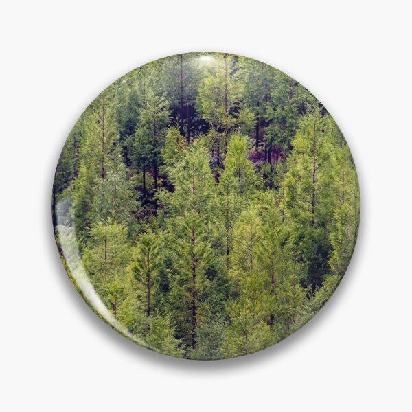 Item preview, Japanese cedar, Green trees, forest at the Azores islands.  designed and sold by AylaHarbich.