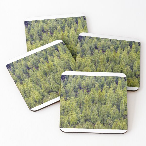 Item preview, Japanese cedar, Green trees, forest at the Azores islands.  designed and sold by AylaHarbich.