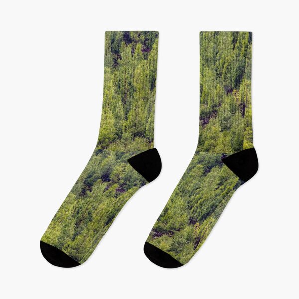 Item preview, Japanese cedar, Green trees, forest at the Azores islands.  designed and sold by AylaHarbich.