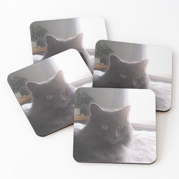 Item preview, Cats designed and sold by Emilie000007.