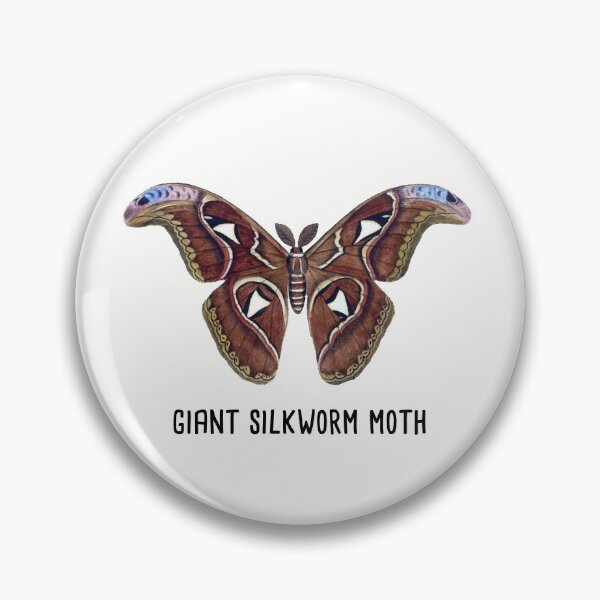 Item preview, Giant Silkworm Moth | Silkworm Cecropia Moth Vintage Style Illustration designed and sold by Rabbitti.