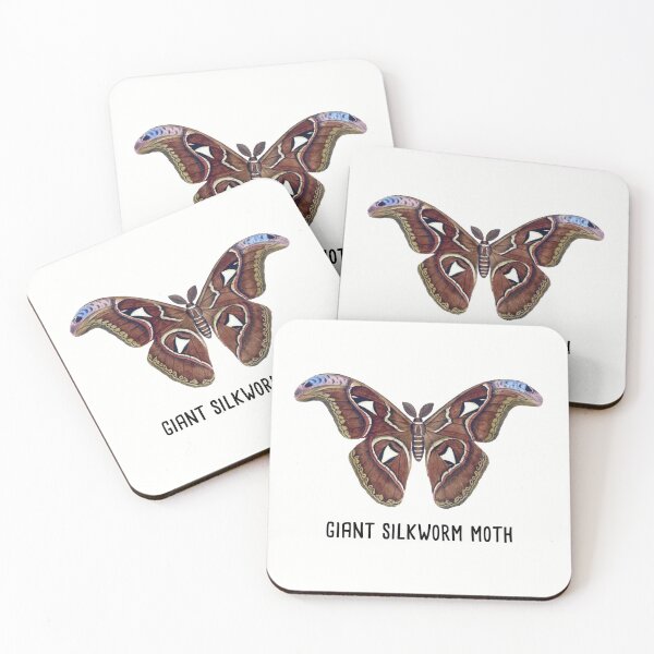 Item preview, Giant Silkworm Moth | Silkworm Cecropia Moth Vintage Style Illustration designed and sold by Rabbitti.
