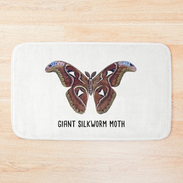 Item preview, Giant Silkworm Moth | Silkworm Cecropia Moth Vintage Style Illustration designed and sold by Rabbitti.