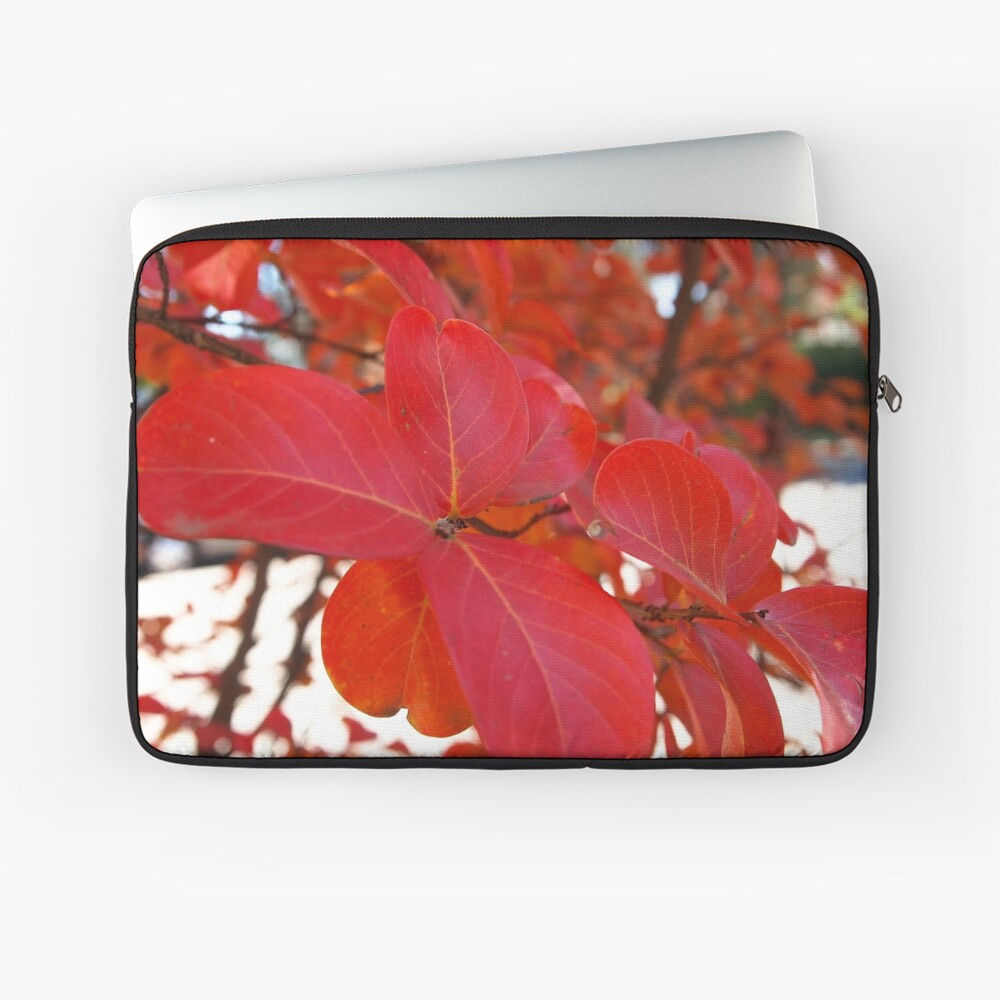 Red Leaves in Autumn 2 Laptop Sleeve