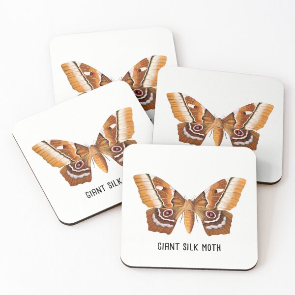 Item preview, Giant Silk Moth | Silk Moth Vintage Style Illustration designed and sold by Rabbitti.