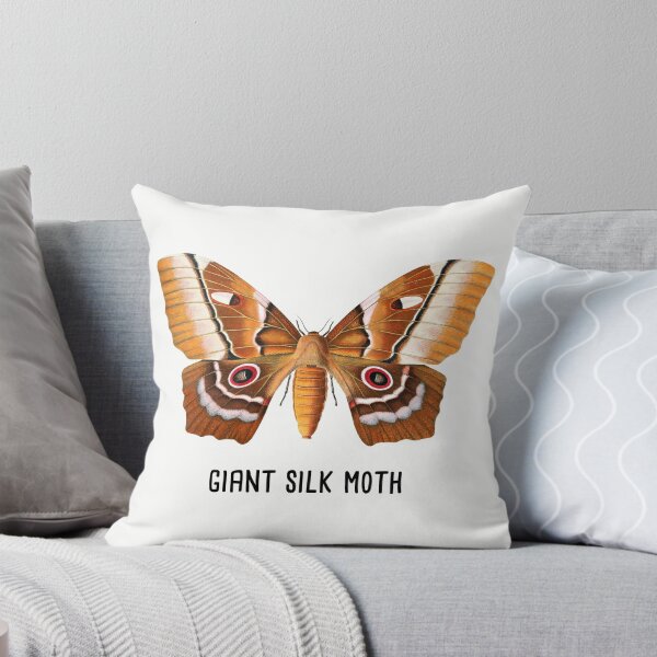 Item preview, Giant Silk Moth | Silk Moth Vintage Style Illustration designed and sold by Rabbitti.