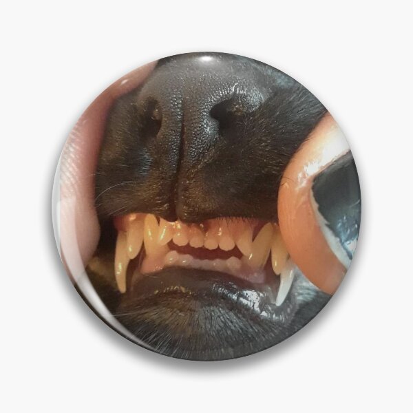 Item preview, Dientes de bebé designed and sold by nelehjr.