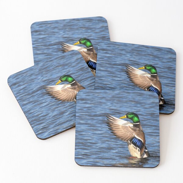 Item preview, Conducting Duck designed and sold by DonnaM.