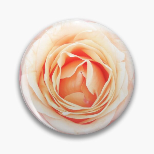 Item preview, Pink rose designed and sold by hannelorevanhal.