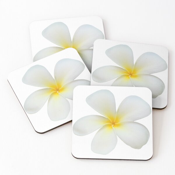 Item preview, Flor blanca Plumeria Bodegón Fotografía floral designed and sold by CottoVerdi.