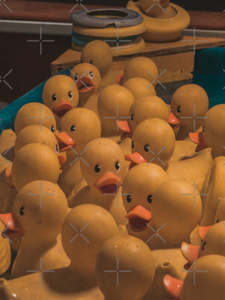 Rubber Duck Photography Carnival Game Photo, Yellow Ducks Print