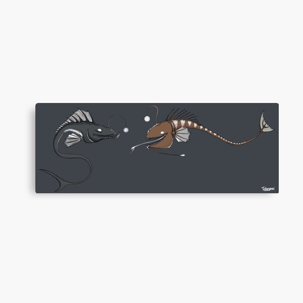 Old lanternfishes are talking Canvas Print
