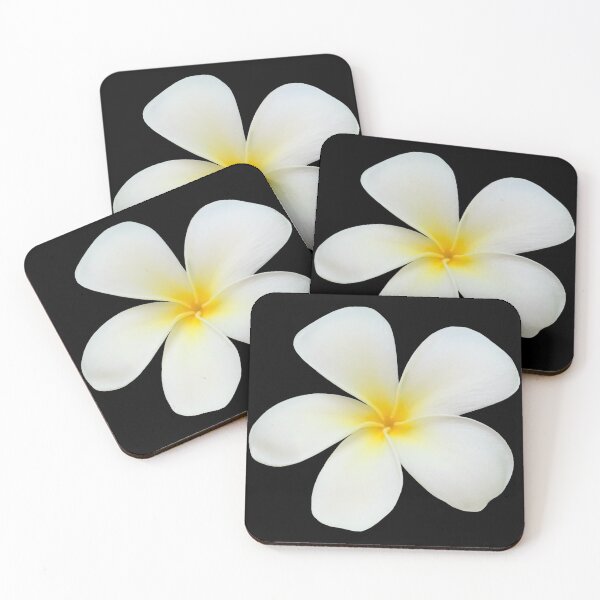 Item preview, Flor blanca Plumeria Bodegón Fotografía floral designed and sold by CottoVerdi.