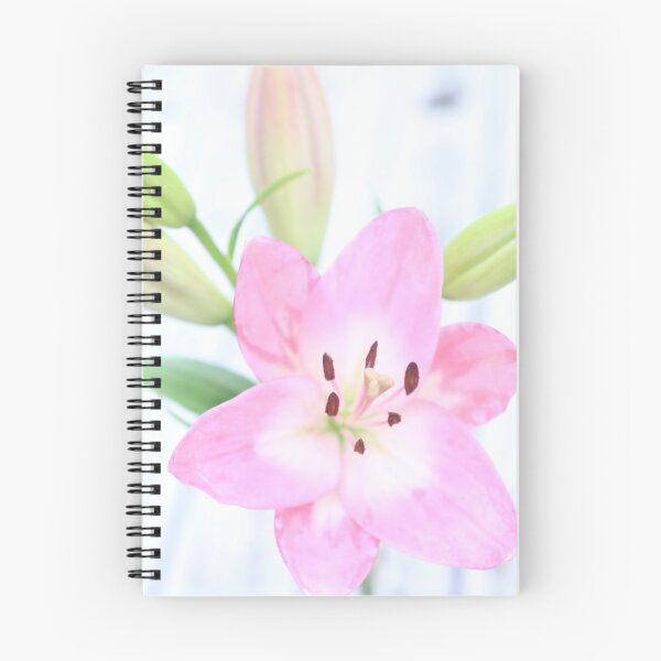 Item preview, Pink symmetric flower designed and sold by hannelorevanhal.