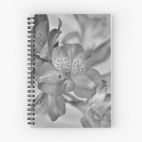 Item preview, Symmetric flowers in the spring designed and sold by hannelorevanhal.