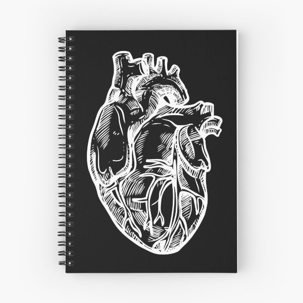 Item preview, Cardiac Anatomy designed and sold by Craz-Creates.