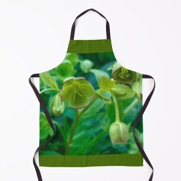 Item preview, Helleborus Foetidus designed and sold by Alisonchambers2.