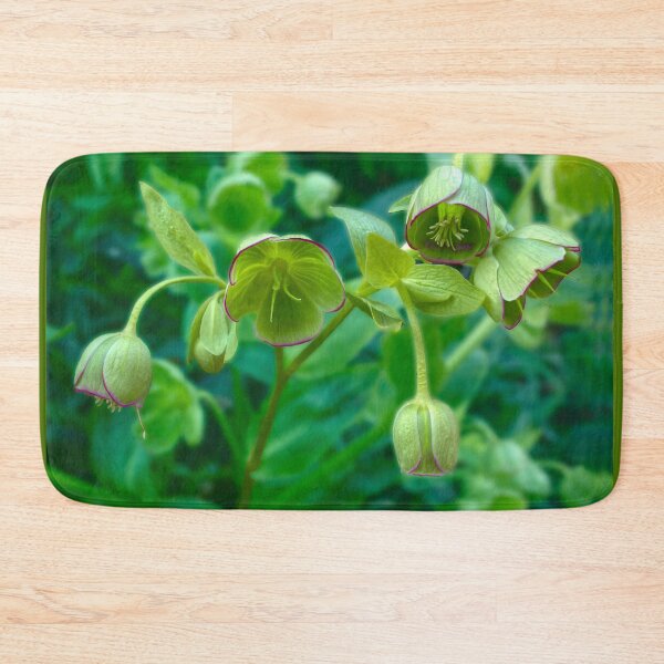 Item preview, Helleborus Foetidus designed and sold by Alisonchambers2.