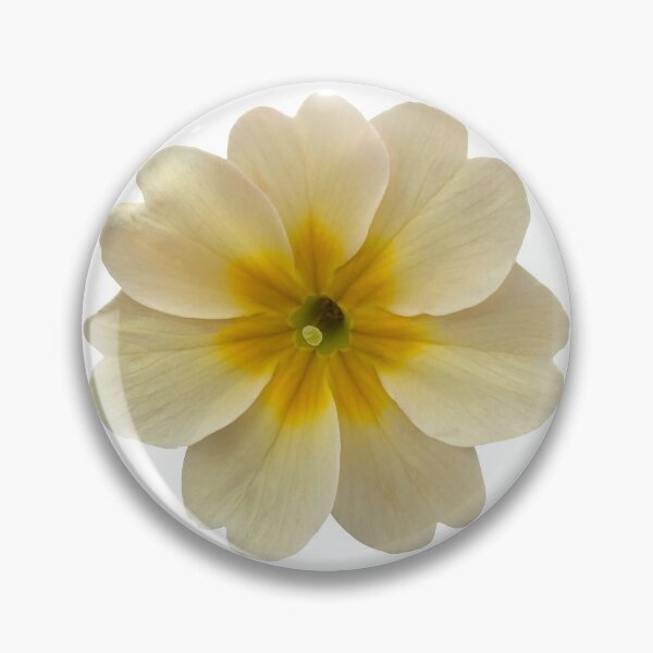 Item preview, Cream Flower Primrose Still Life Floral Photography designed and sold by CottoVerdi.